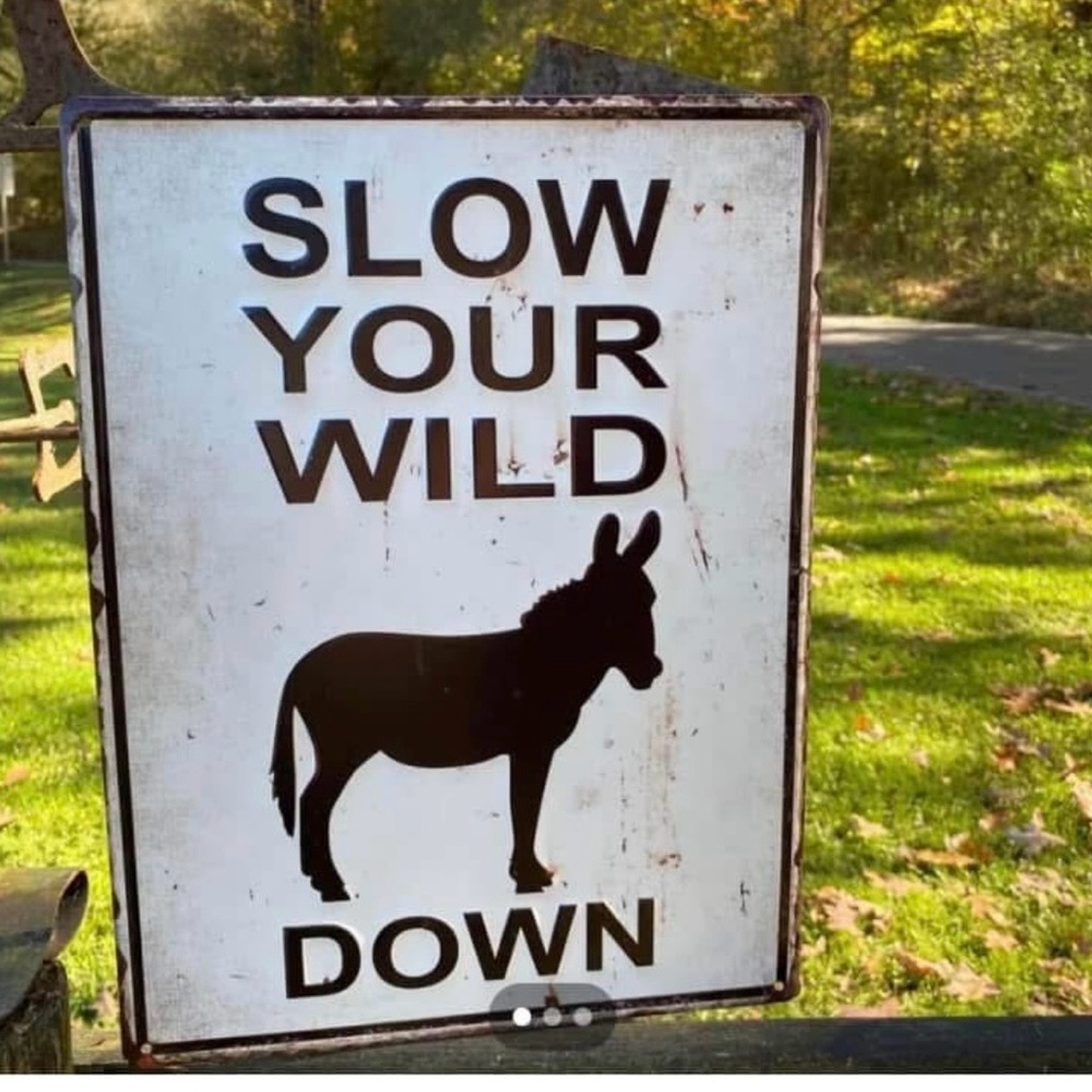 Humorous Black and White Donkey Wall Sign